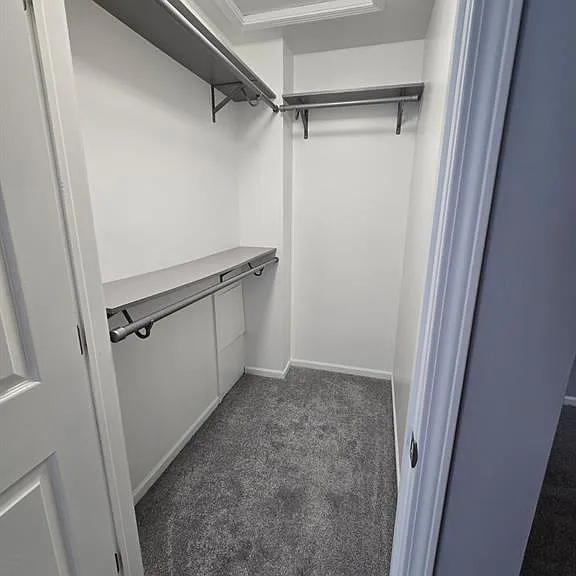 3107 Ailsa Craig Dr — Photo 13
