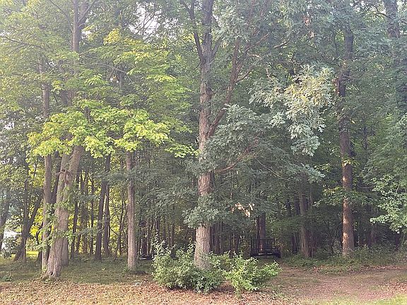  View from front of property