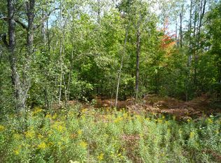 Bruun Trl, Frederic, MI 49733