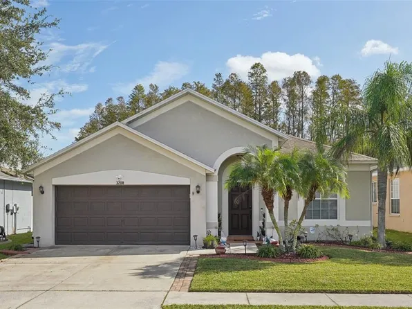 3208 Downan Point Dr, Land O Lakes, FL 34638