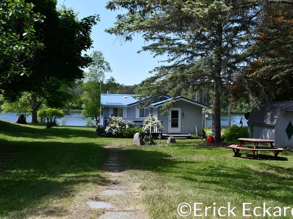 8295 Lake Lure Dr, Evart, MI 49631