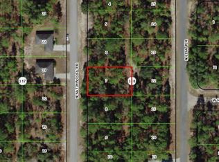 9211 N Satinwood Ter, Citrus Springs, FL 34433