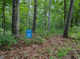 80 Doll Mountain Rd, Ellijay, GA 30540