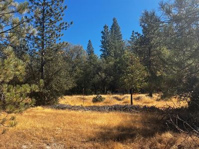 1432 David Rd, Rail Road Flat, CA, 95248
