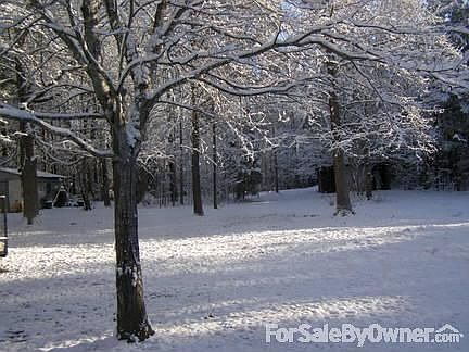 View of Back Yard. : Large back yard. Shop on left side. Plus wooded area in back!