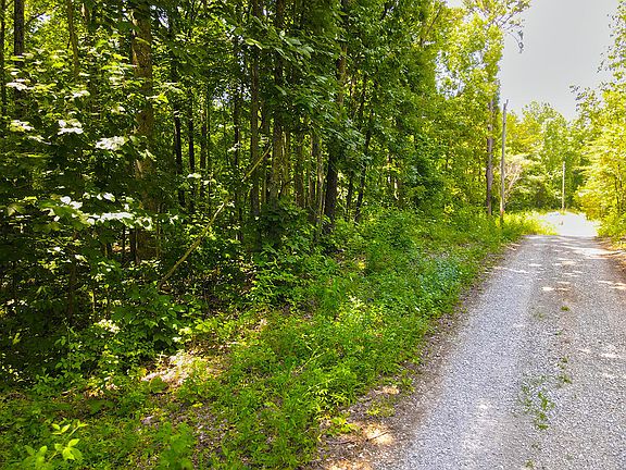 4th image of 1117 Harmon Creek Rd