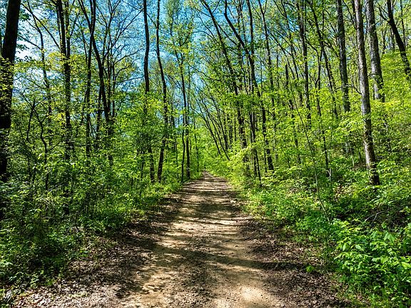 River Road 1