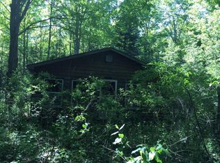 7966 Minier Rd, Onaway, MI 49765