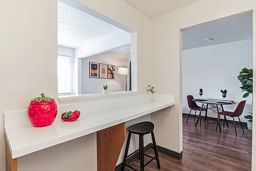 Vivo Living Charlotte University Photo 1