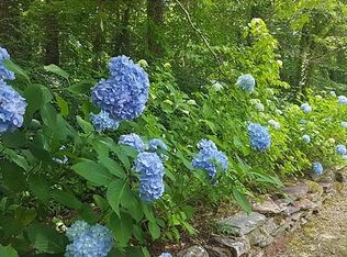 3033 Skyuka Rd, Columbus, NC 28722