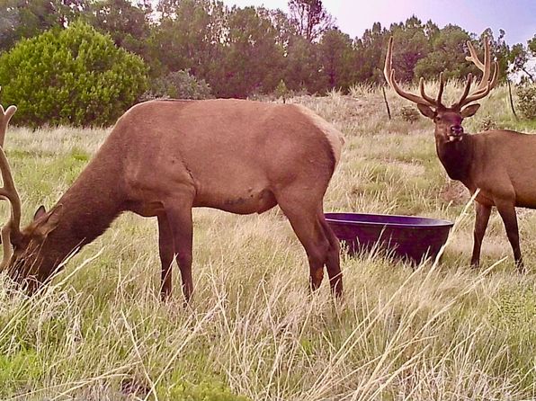 12630 County Road 175, Kim, CO 81049