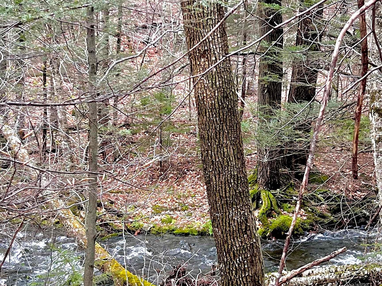 TBD Mink Hollow Road, Elka Park, NY 12427 MLS 20231097 Zillow