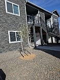1st image of 1621 Grand Harmony Blvd #101