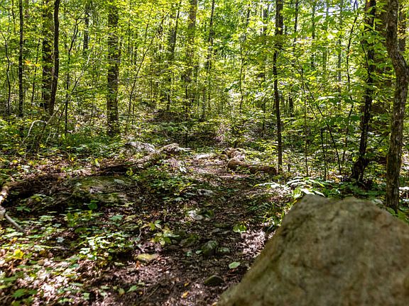 3rd image of 1236 Chestnut Creek Way