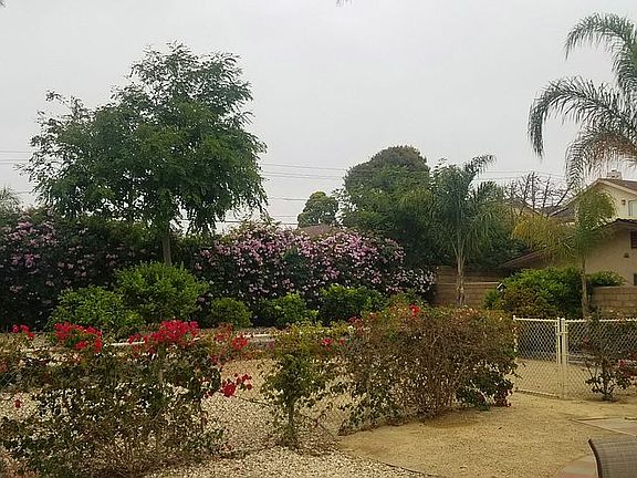 totally fenced for pets