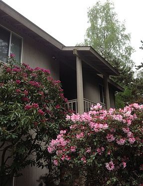 1st image of 513 Bjune Dr SE