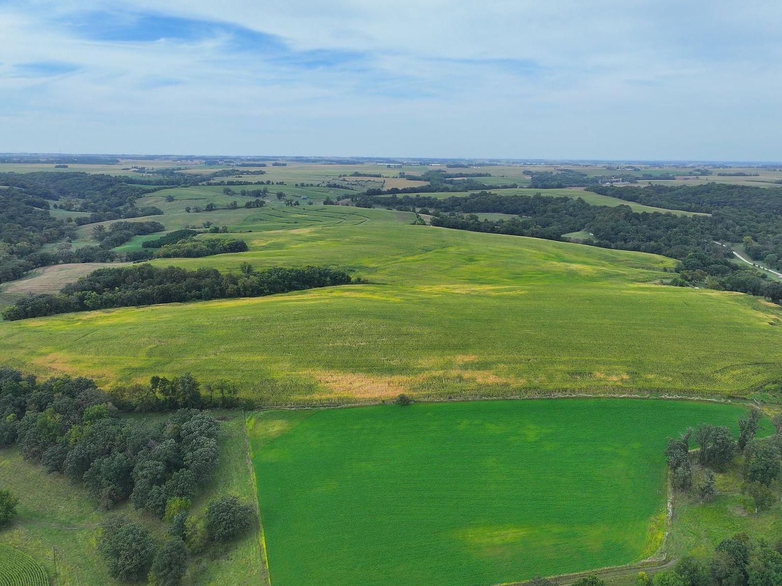 Weather in chatfield mn