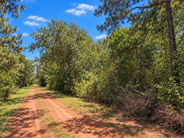 0 Deerwood Dr, Hempstead, TX 77445