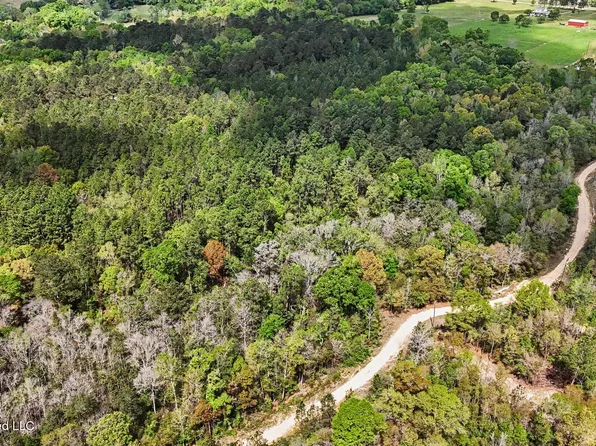 0 Pete Dixon Rd, Lucedale, MS 39452