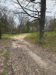 360 51 1/2 St, Grand Junction, MI, 49056
