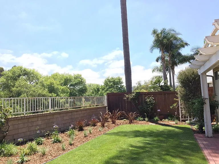 Sunny Backyard