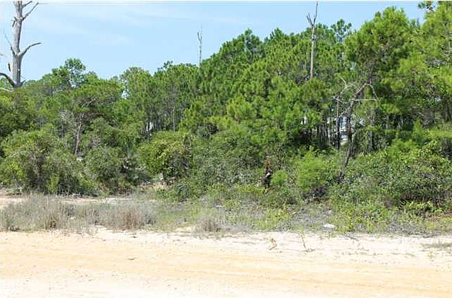 1st image of 0 Driftwood Ave