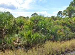 982 Astilbe St SW, Palm Bay, FL 32908