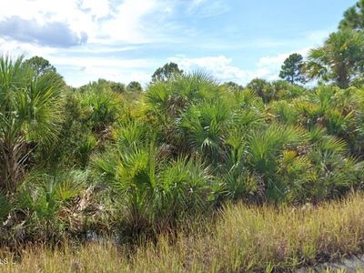 982 Astilbe St SW, Palm Bay, FL, 32908