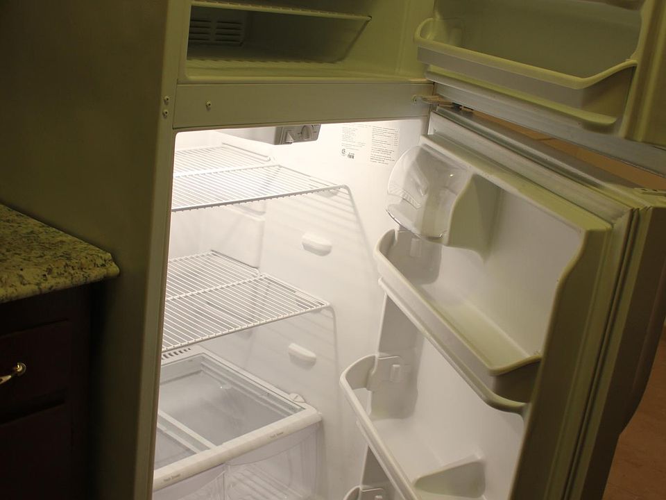 Fridge