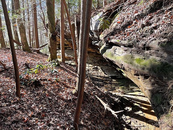 4th image of 485 Laurel Lake Resort Rd