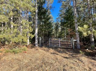 2568 S Pine Ave, White Cloud, MI 49349