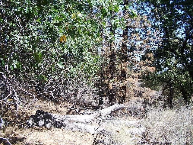 2nd image of 27341 Stirrup Way