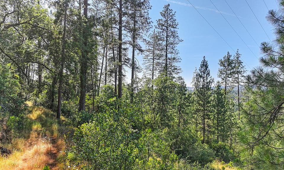 1st image of 24316 Timber Ridge Dr