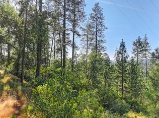 24316 Timber Ridge Dr, Auburn, CA 95602