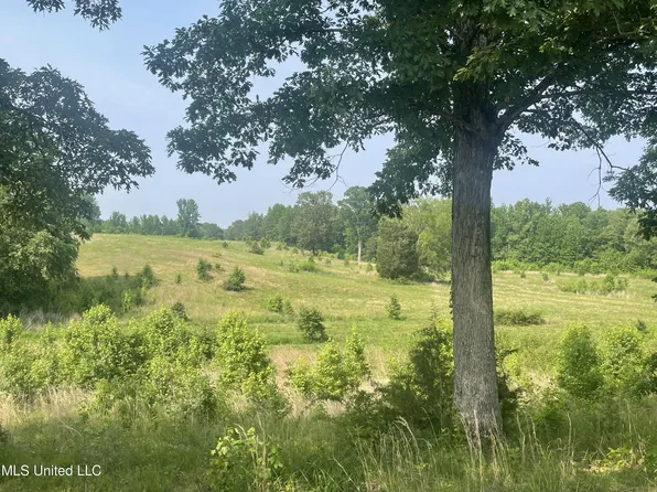 9 Highway 4 W, Holly Springs, MS 38635