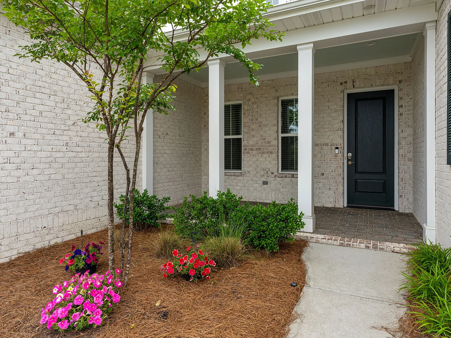 4454 Bannock Circle - 1 — Photo 2