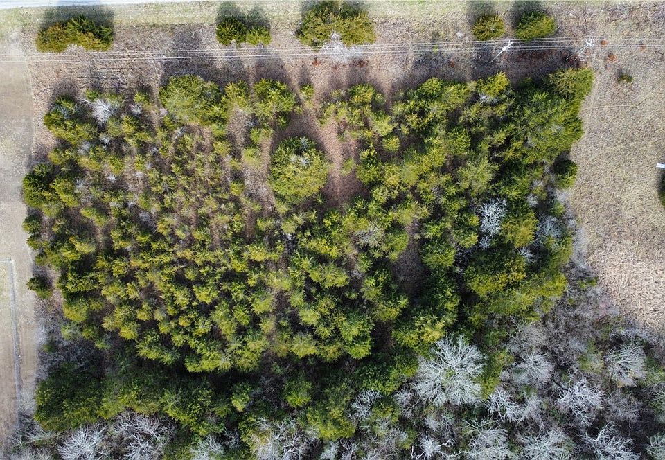 1st image of 0 Old Highway 80
