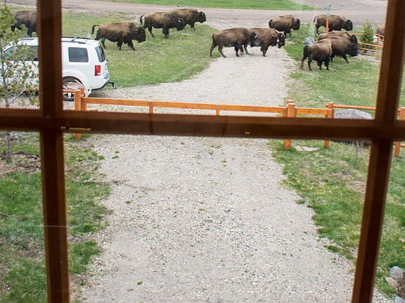 3rd image of 218 Grizzly Bear Loop