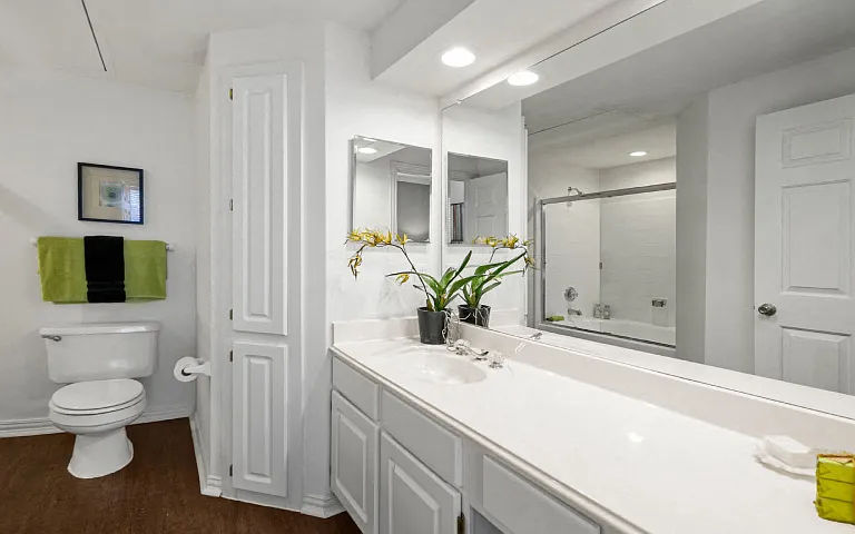 Lanesborough Apartments — Photo 8