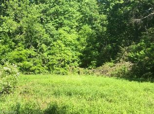 00 Grapevine Rd, Lewisville, NC 27023