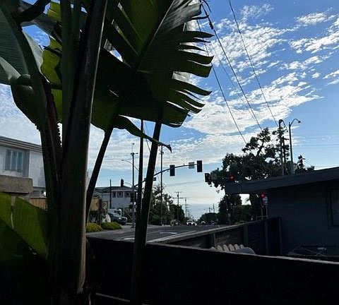 Ocean View from Front Yard