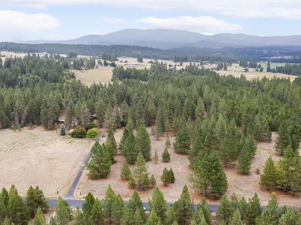 28202 N Bruce Rd, Chattaroy, WA 99003
