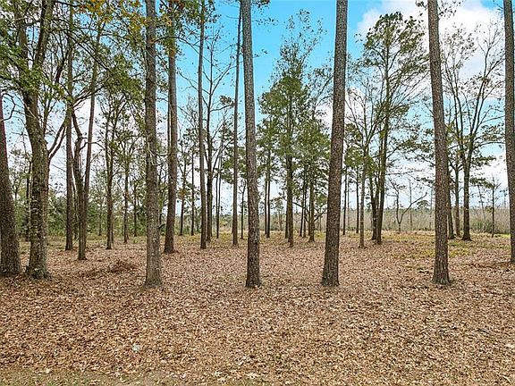 5th image of LOT 12 Mattingly Ln