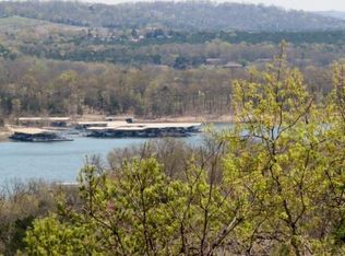 4 Treehouse Ln, Branson, MO 65616