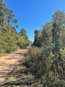 9577 Palmetto Rd, Magnolia, TX, 77354