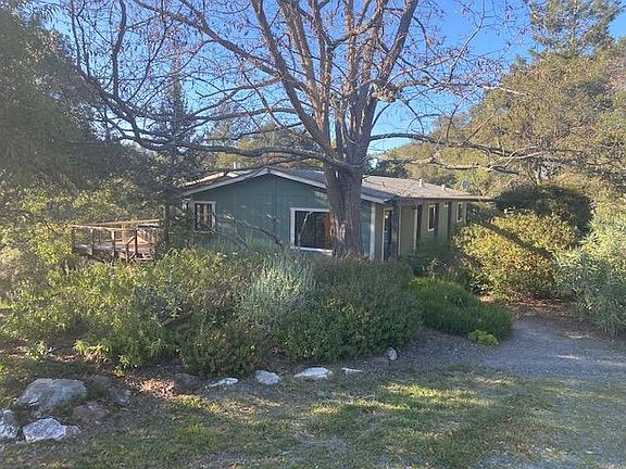 Mature landscape enclosing the home, enhancing privacy