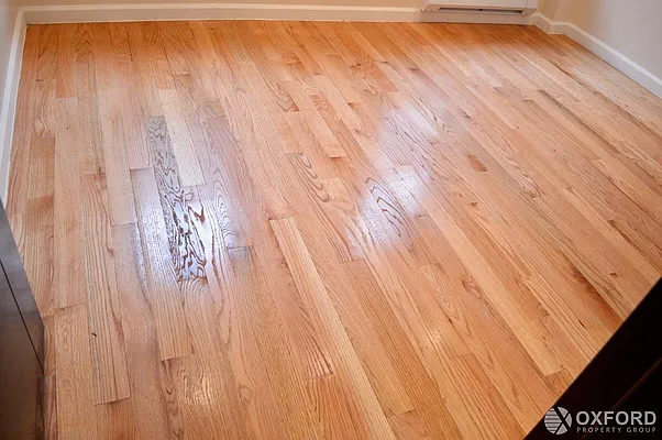 Rented by Oxford Property Group | media 17