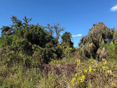 1810 38th Place, Vero Beach, FL, 32960