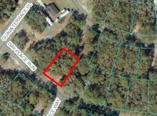 0 Bay Place Run #3, Ocklawaha, FL 32179