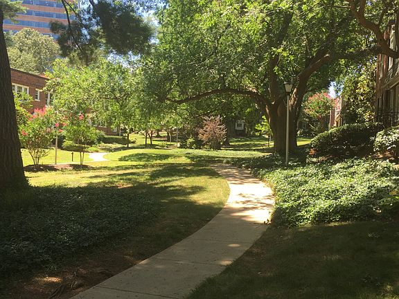 Quiet, shady courtyard